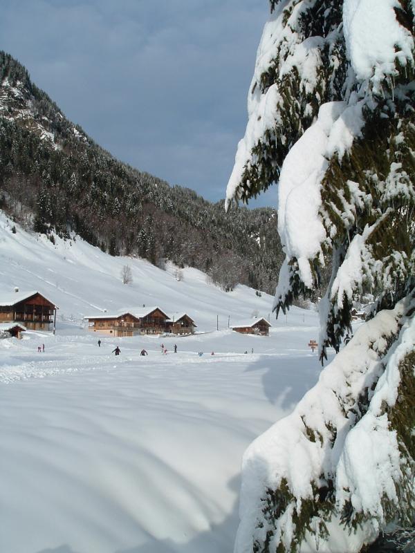 s&eacute;jour et entr&eacute;e du g&icirc;te