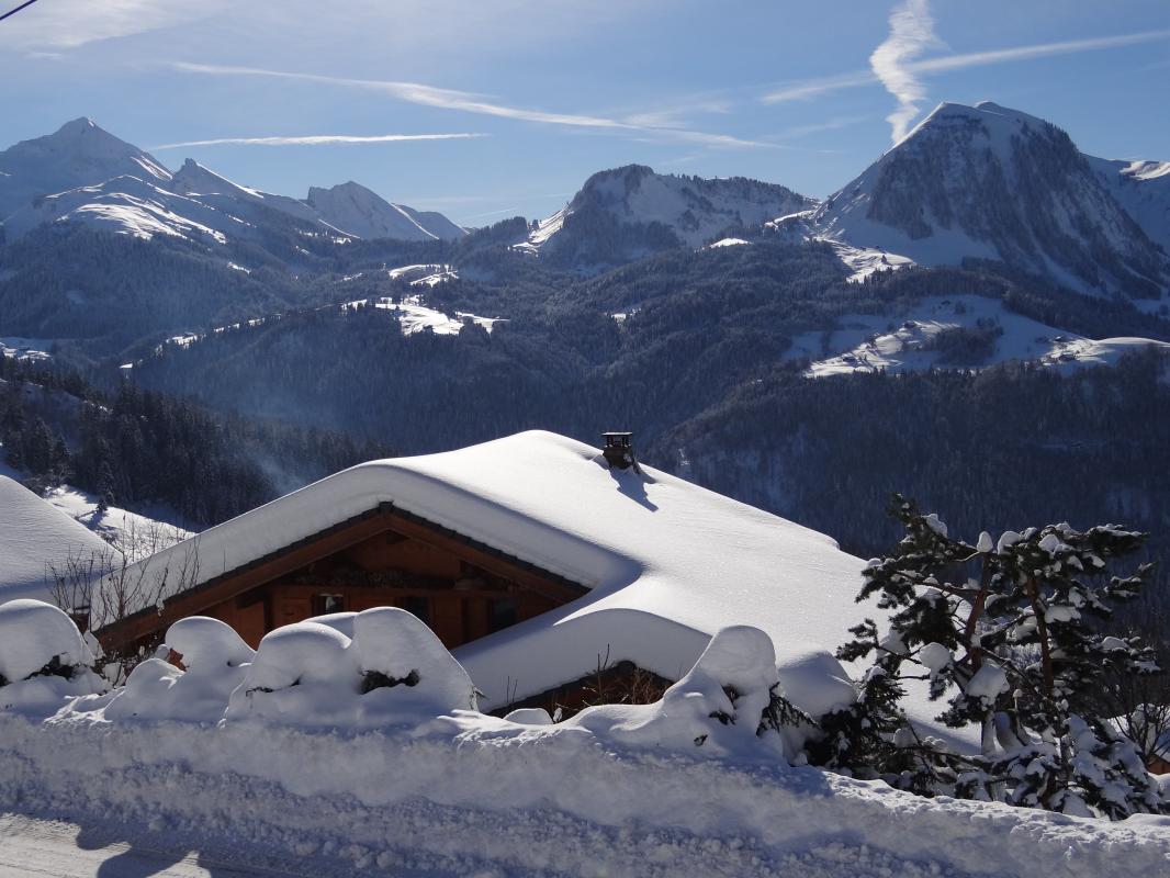 Chalet l'Hermine, coin feu salle &agrave; manger