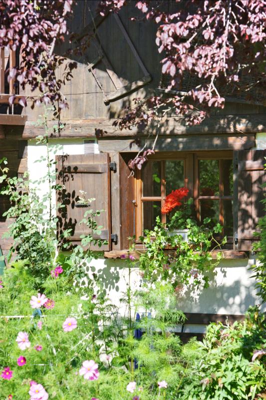 La cha&icirc;ne des Fiz &agrave; l'arri&egrave;re du chalet.