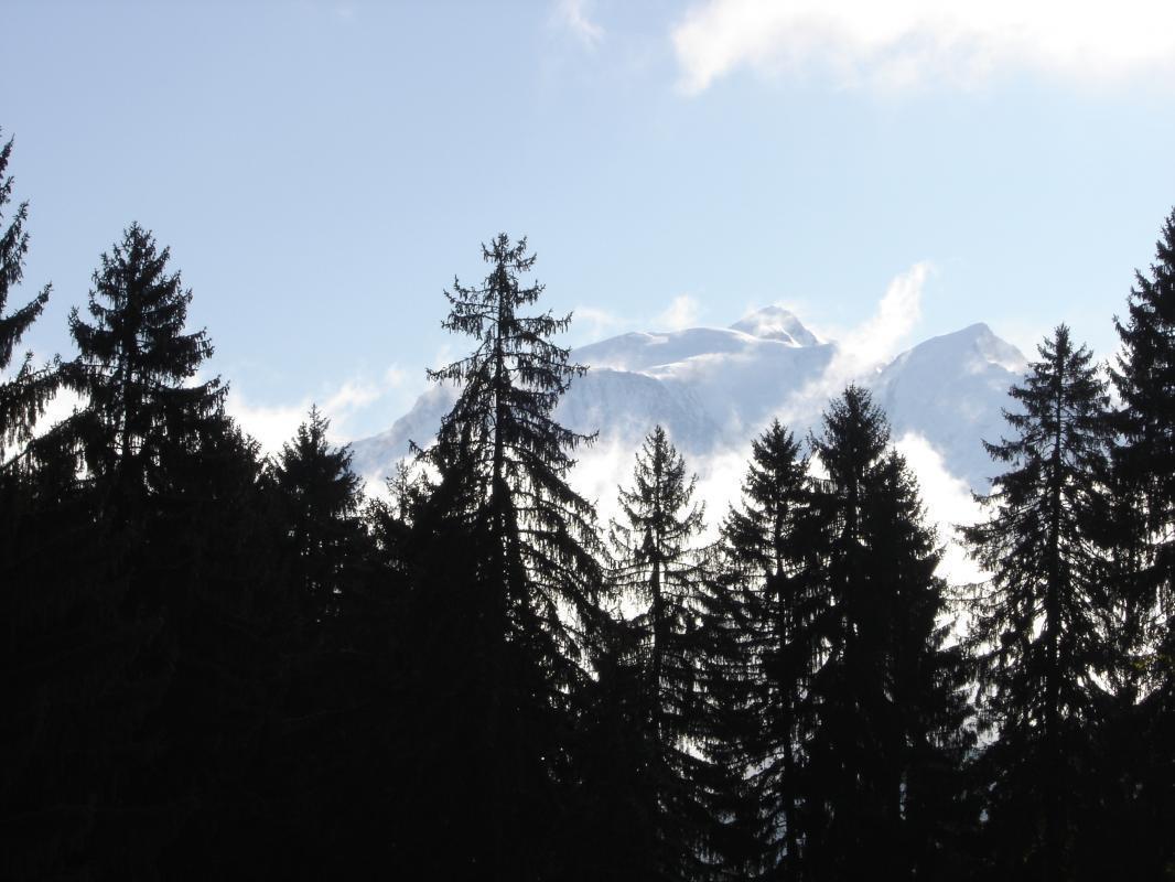 Mont-Blanc 