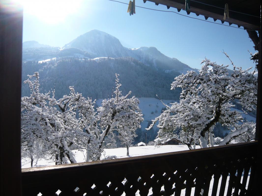 Terrase avec barbecue,  table et transats 