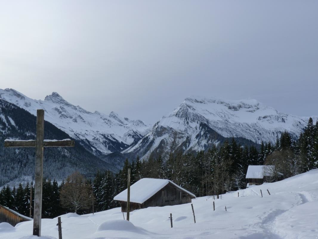 la pointe perc&eacute;e 