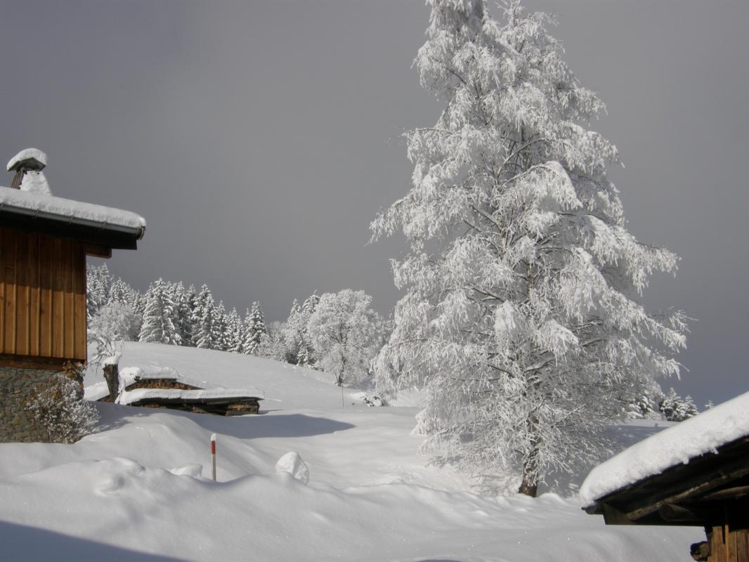 Grand champs autour du Chalet. Possibilit&eacute; de faire de la luge. Chemin pour d&eacute;part en raquettes