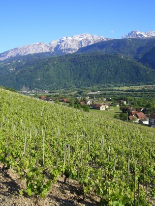 La cha&icirc;ne du Bargy et c&ocirc;teau viticole d'Ayze