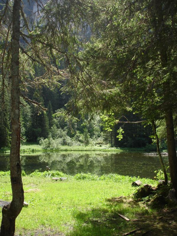 Lac de Petetoz (Altitude 1430m), source du Brevon. P&ecirc;che, randonn&eacute;es, sentiers &agrave; th&egrave;mes.