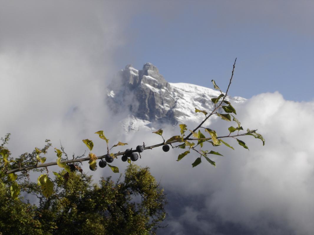 Aiguille de Warens