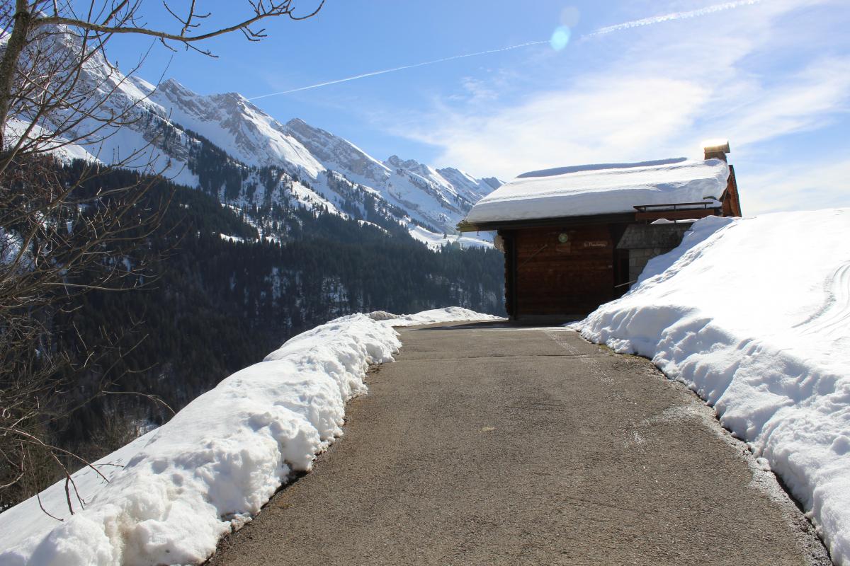 Vue depuis le gite