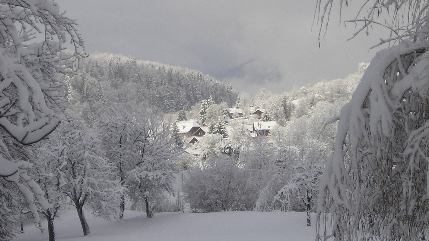 La maison en hiver