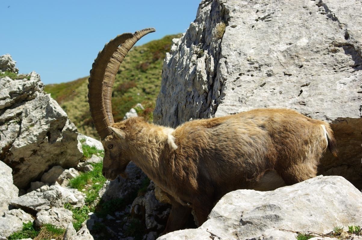 HAUT CHABLAIS Col de BISE