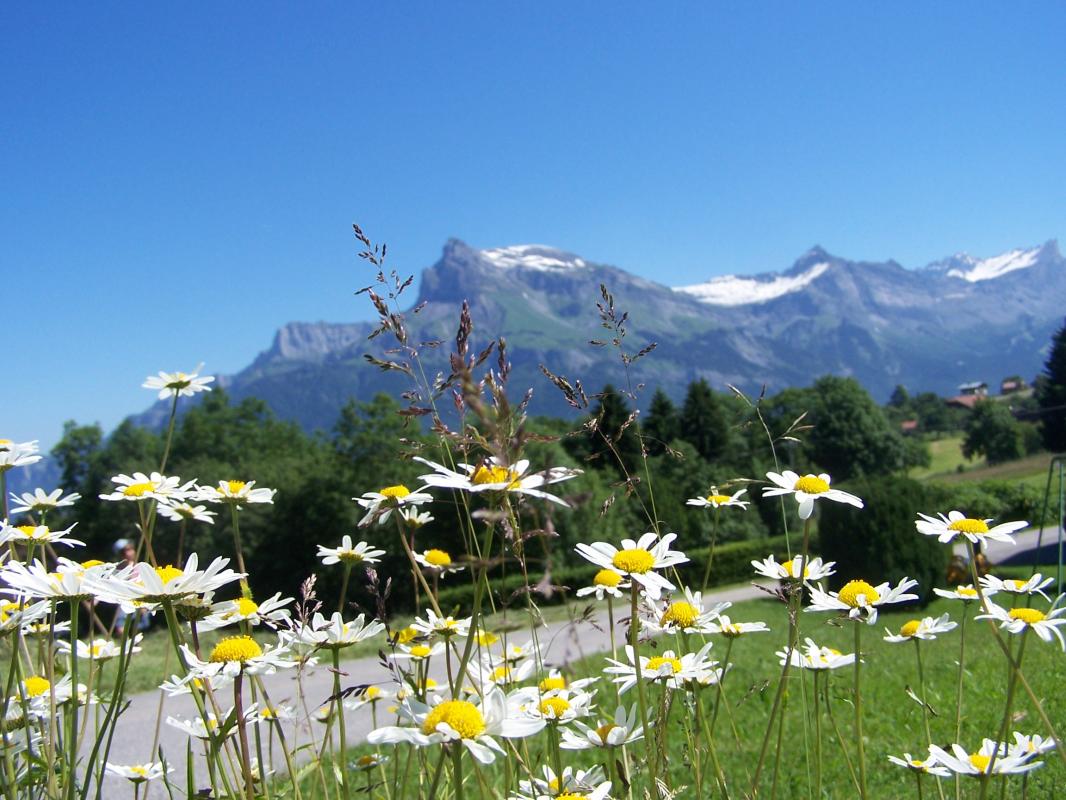 Vue du g&icirc;te