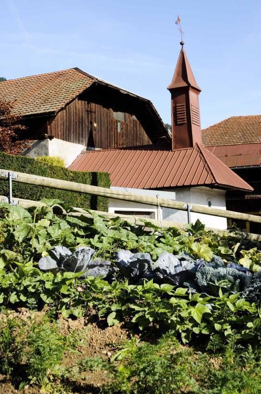 Le potager