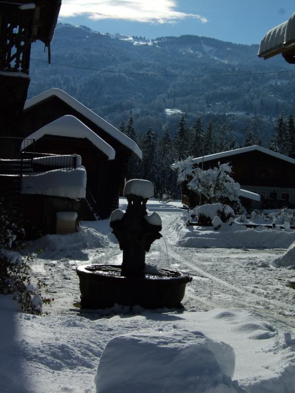 VUE SUD. PISTES DU GRAND MASSIF.