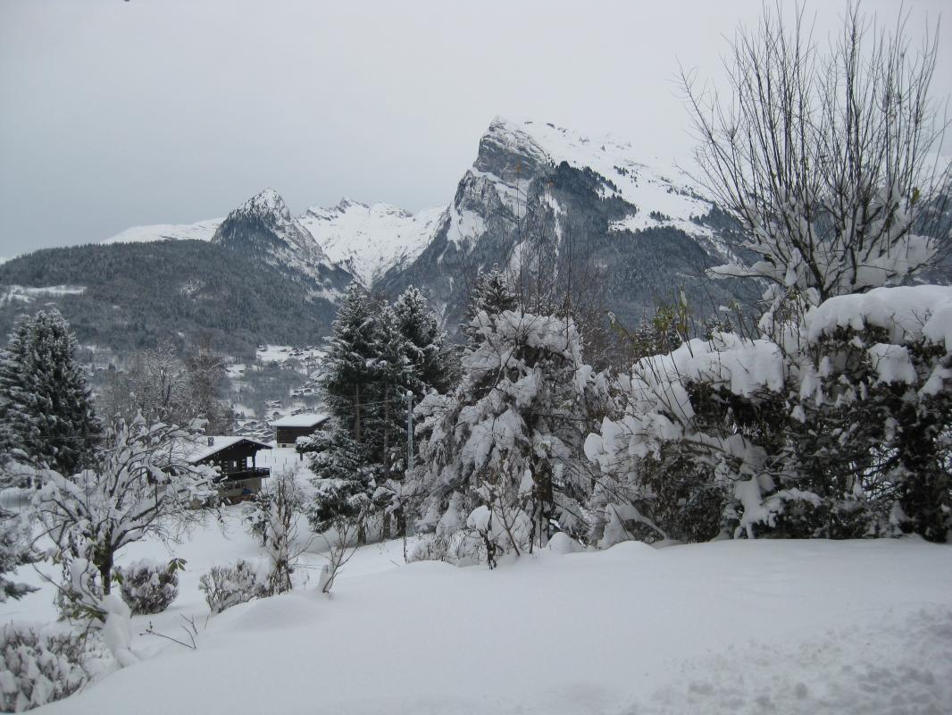 Vue sur le Criou en hiver