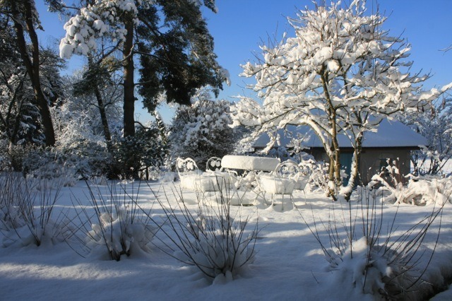 Vue sur Abri de jardin fond du jardin