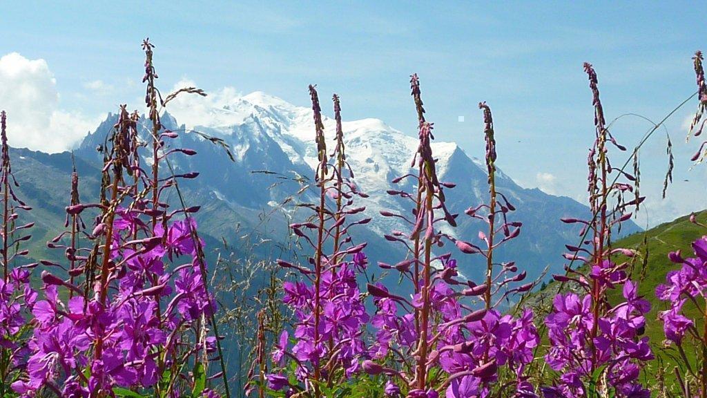 Randonn&eacute;e d'&eacute;t&eacute;