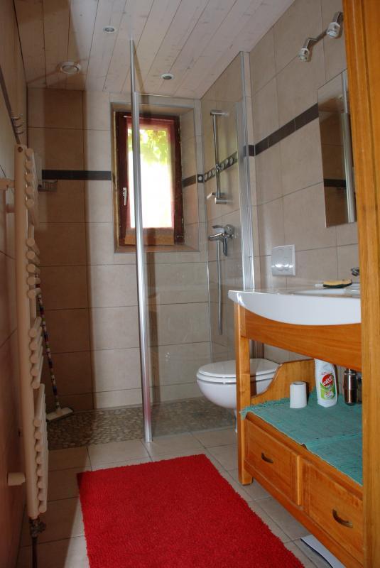 Lavabo,douche,WC - Rez de chauss&eacute;e
