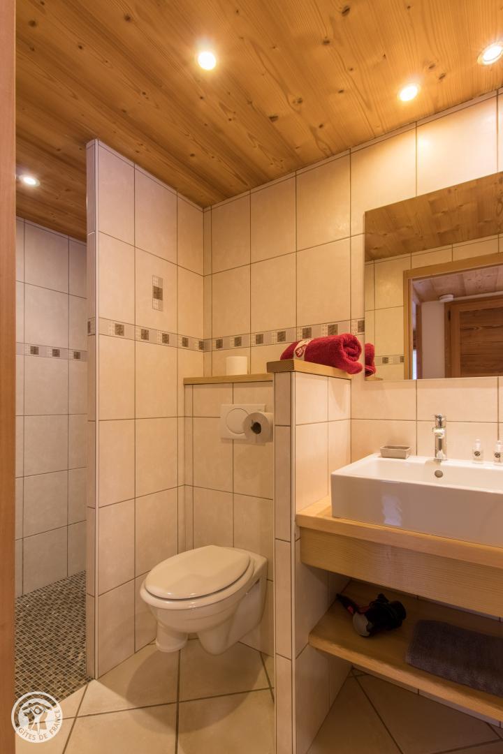 Douche italienne, vasque, s&egrave;che serviette, s&egrave;che cheveux 