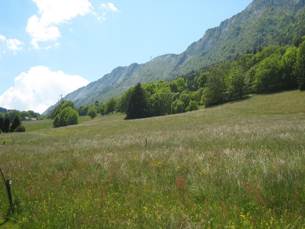 VUE COTE SUD