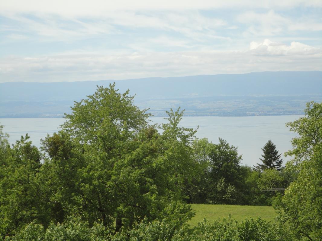 chambre &agrave; l'ouestnniveau bas