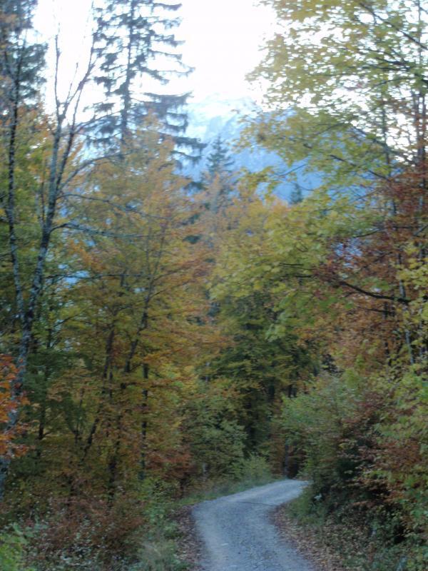 sentier d'automne