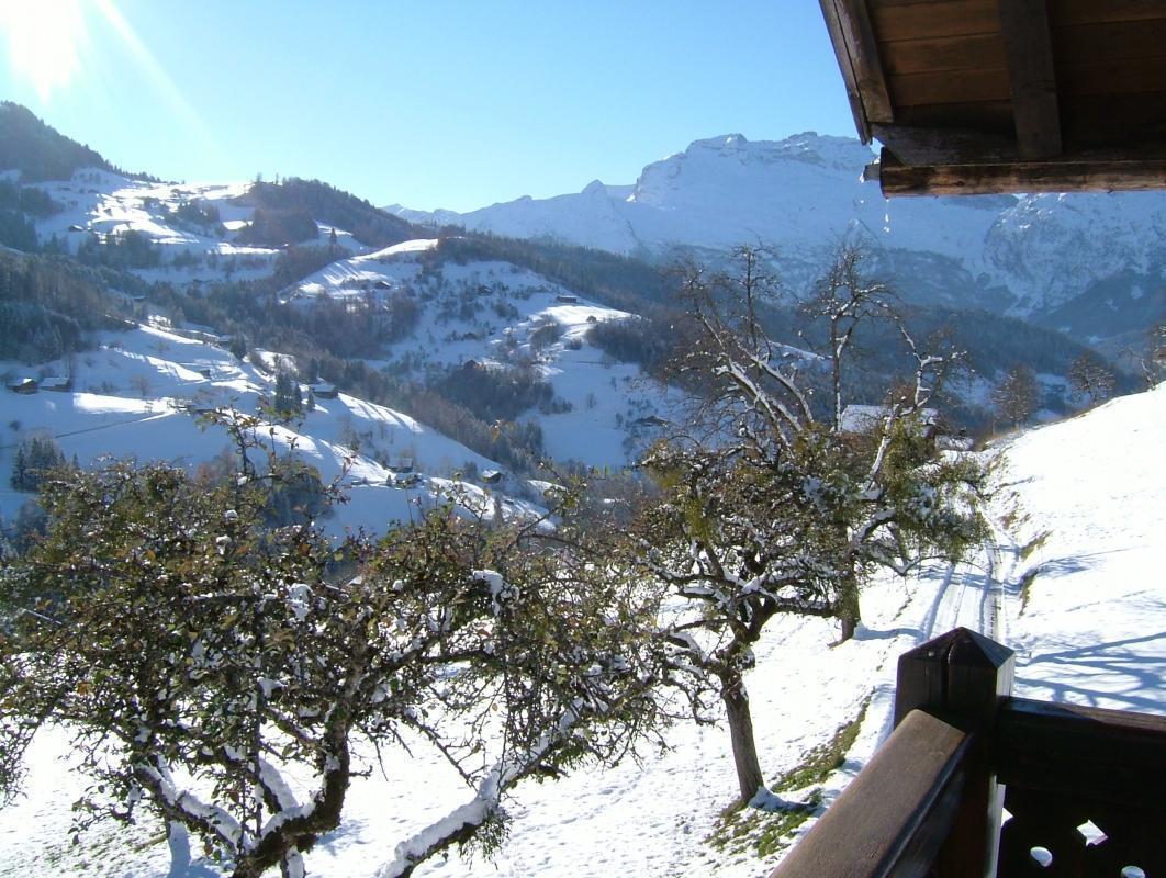 Vue depuis le balcon