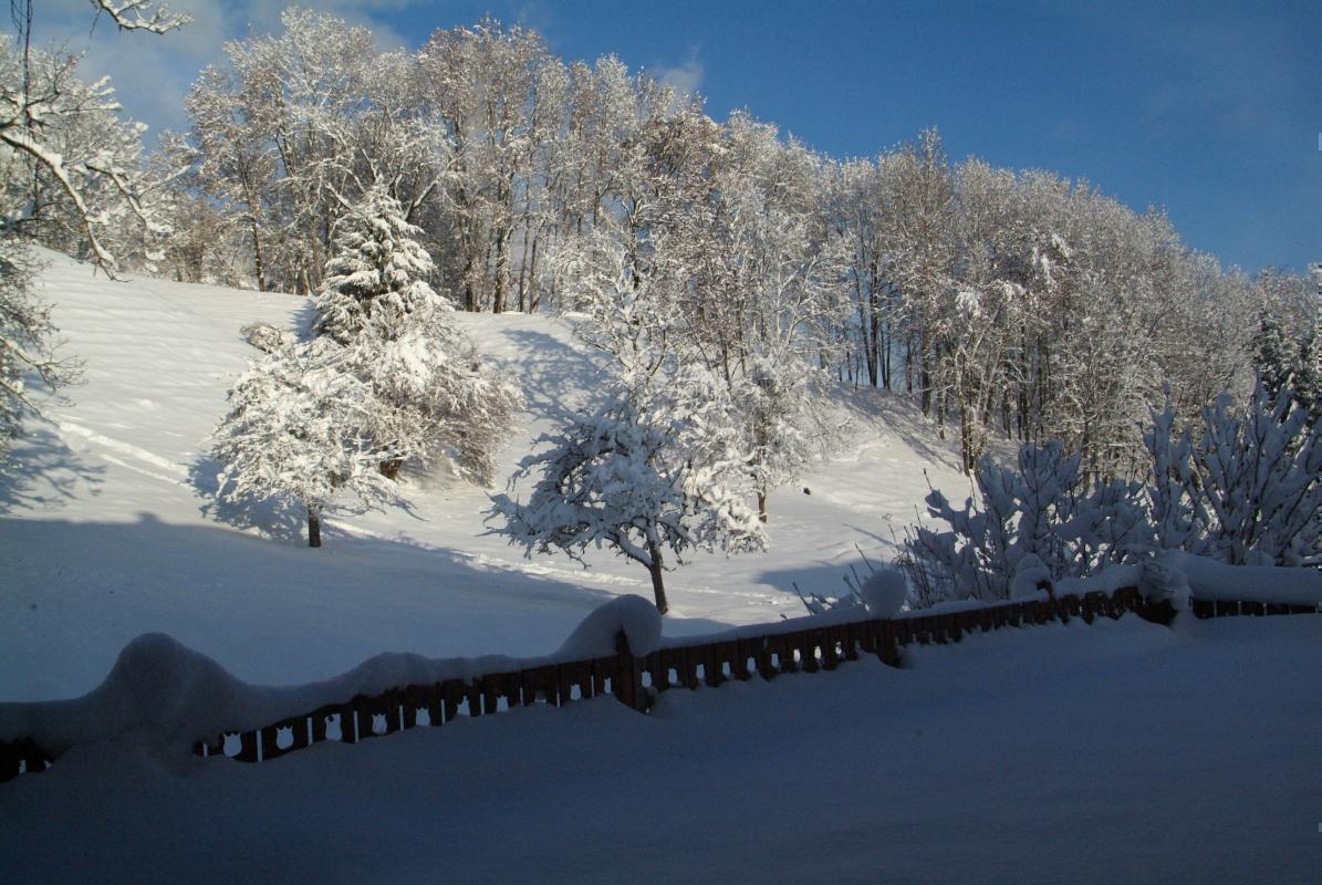 Vue de l'arri&egrave;re du g&icirc;te.nEn premier plan, la terrasse qui surplombe la rivi&egrave;re.