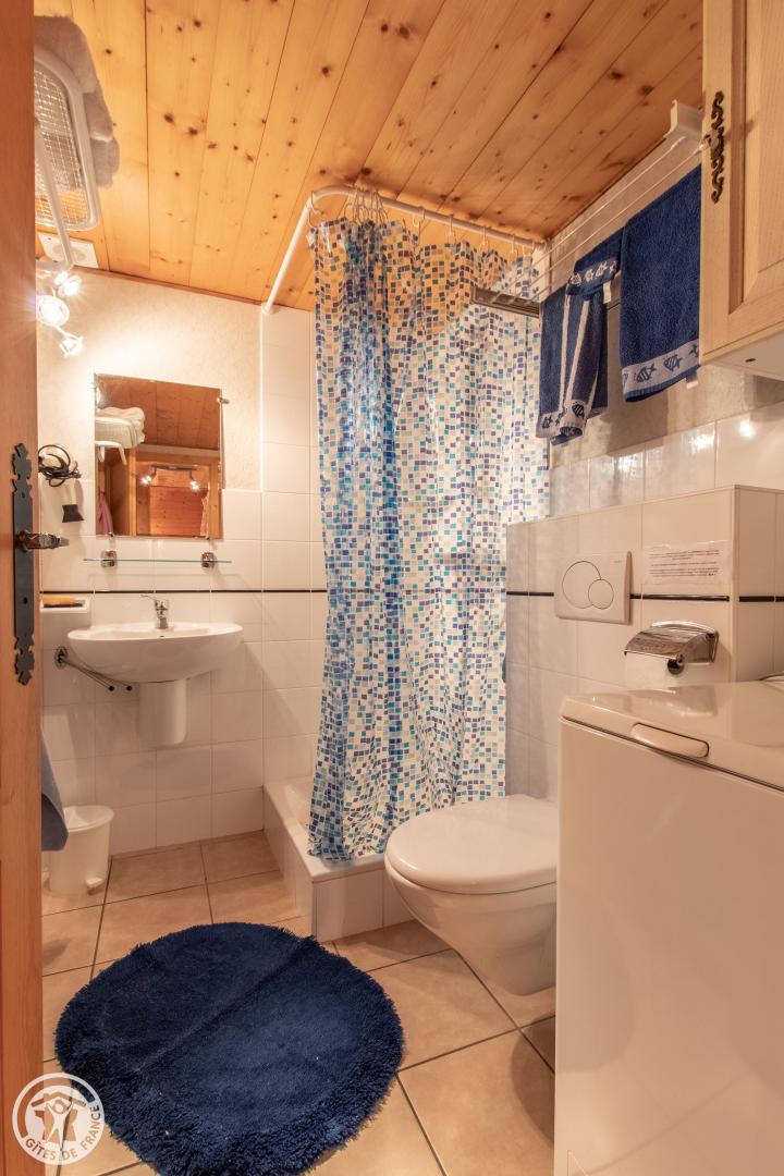 La salle d'eau,lavabo, douche, WC et lave linge