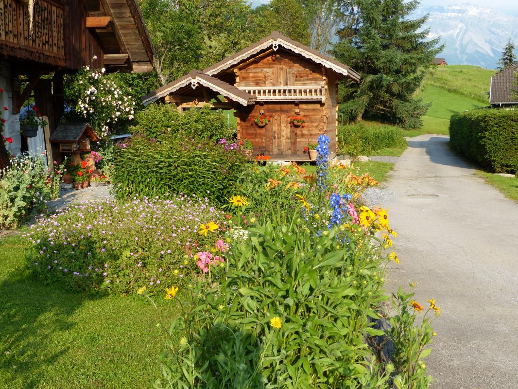 FA&Ccedil;ADE SUD EN &Eacute;T&Eacute;