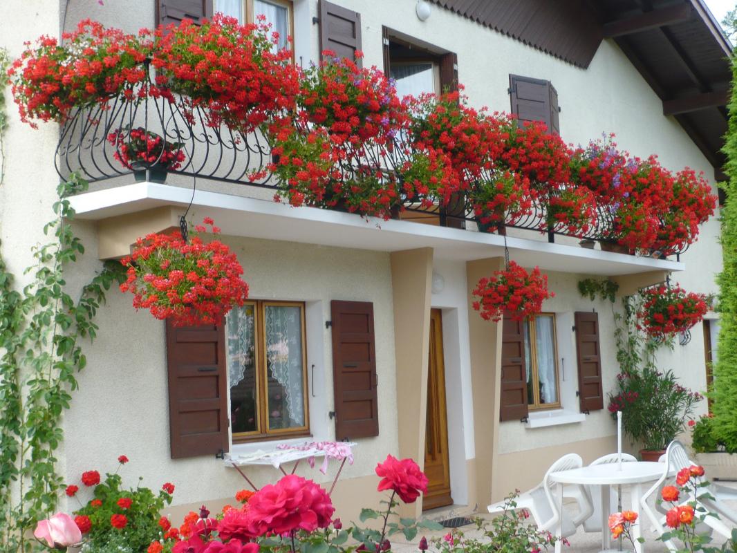 La terrasse