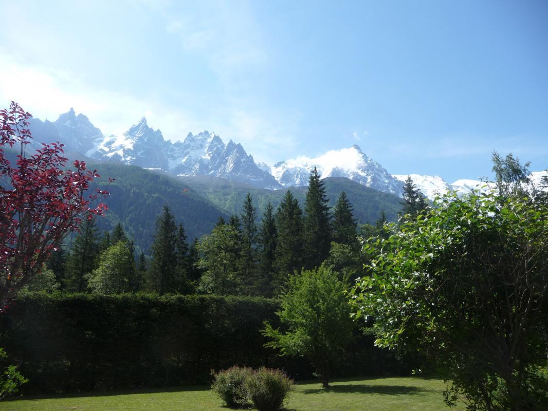 Vue depuis le jardin