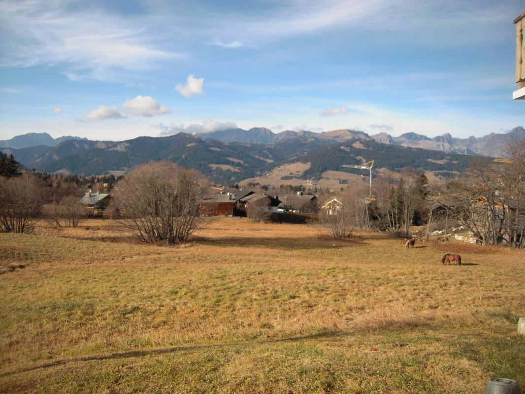 Vue depuis le jardin