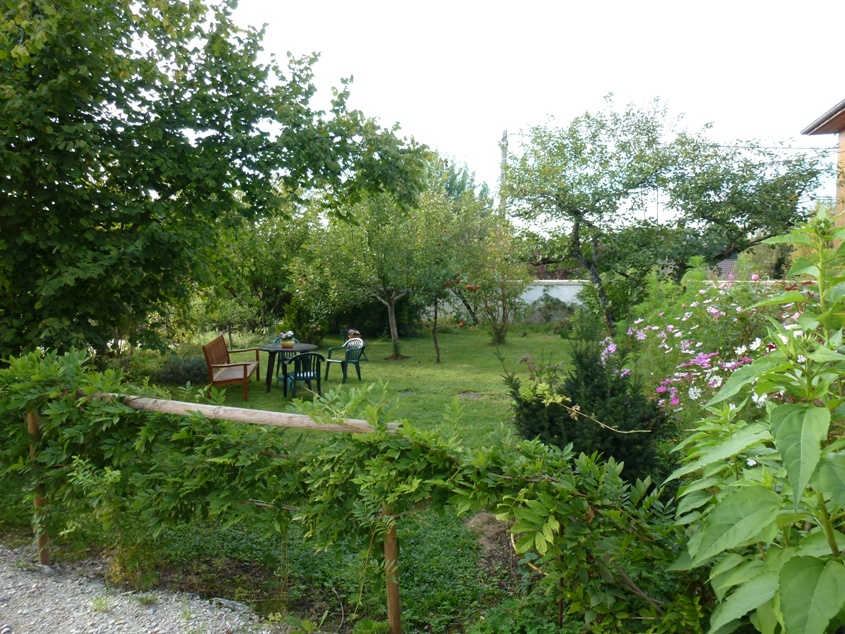 pelouse c&ocirc;t&eacute; ouest