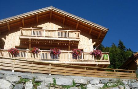 G&icirc;te n&deg;191075 Morzine - Haute-Savoie - En &eacute;t&eacute; 