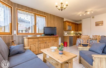 G&icirc;te n&deg;258102 Samo&euml;ns - Haute-Savoie - photo