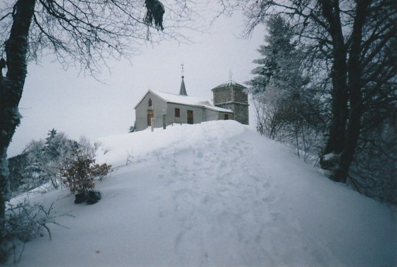photo 35