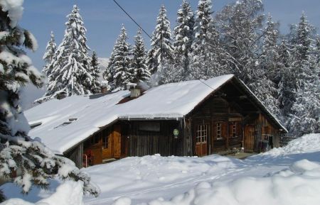 G&icirc;te n&deg;83003 Combloux - Haute-Savoie - photo
