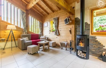 G&icirc;te n&deg;258085 Samo&euml;ns - Haute-Savoie - photo