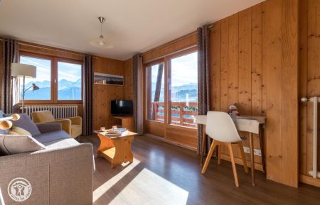 G&icirc;te n&deg;89004 Cordon - Haute-Savoie - photo