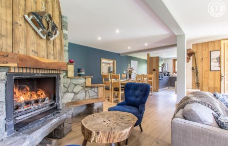 G&icirc;te n&deg;258093 Samo&euml;ns - Haute-Savoie - photo